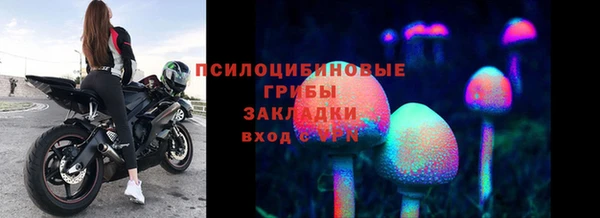 эйфоретик Абинск