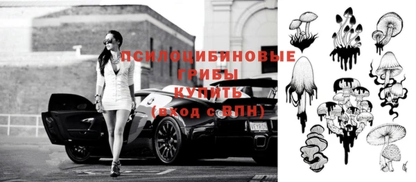 метадон Абаза