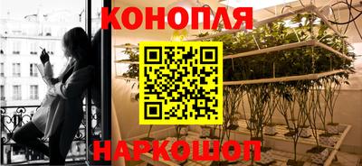ALPHA PVP Гатчина
